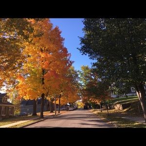 Meet your Posher, Mary ellen